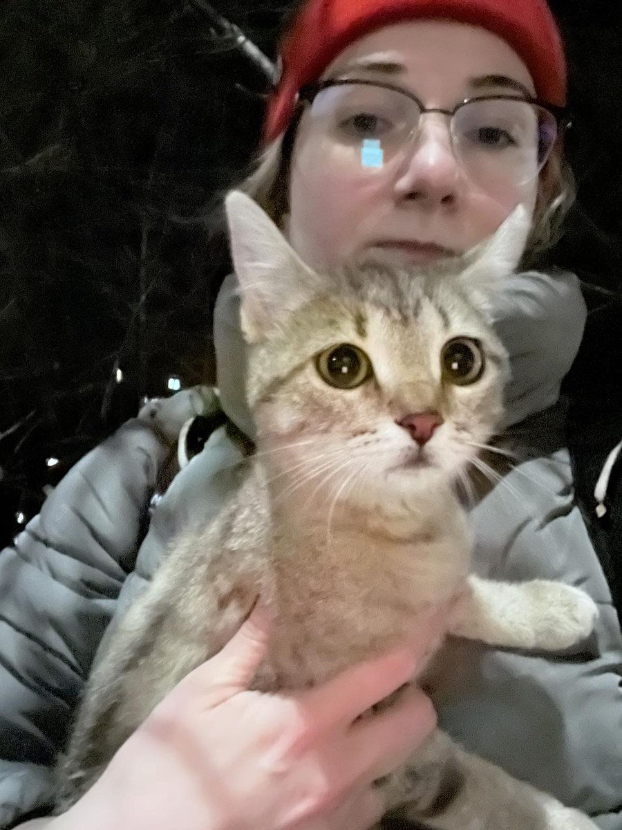 Кошеня-дівчинку близько 3 міс знайшли в коробці посеред парку під деревом холодним ранком. Зараз живе, де підгодовують котиків. Але її не сприймають і ображають, хоча вона лагідна, до всіх тулиться, шукає тепла. Грайлива, йде на ручки та муркотитьПодаруйте малечі любов та дім