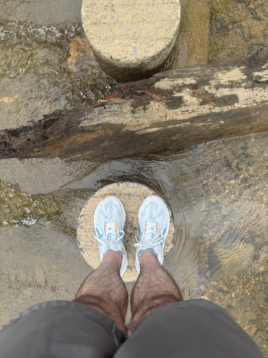 1everydayrunner's tweet photo. Incredible weather and found the perfect time of day for a longer run. Plenty of mixed terrain and a healthy bit of mud. Great day for reflecting and setting springtime goals. https://t.co/fdScWvhiE1