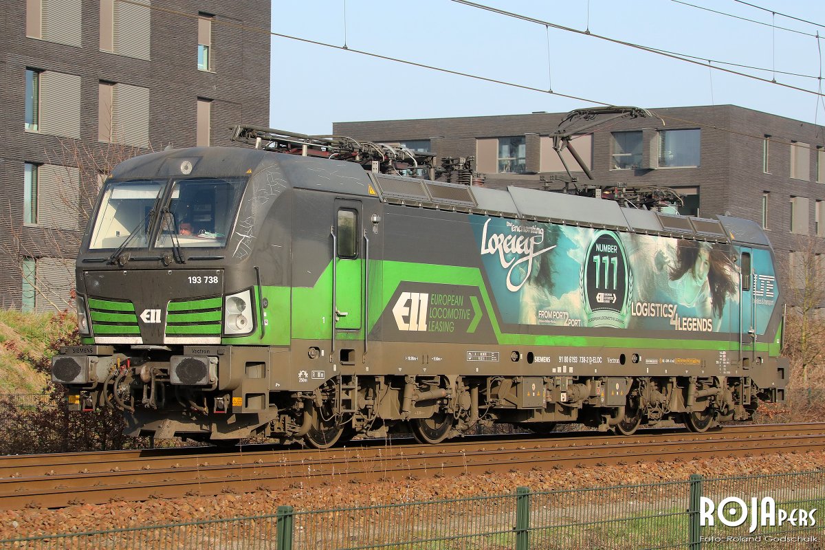 ROJApers tweet media