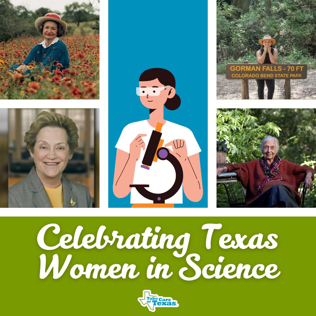 Take Care Of Texas tweet media