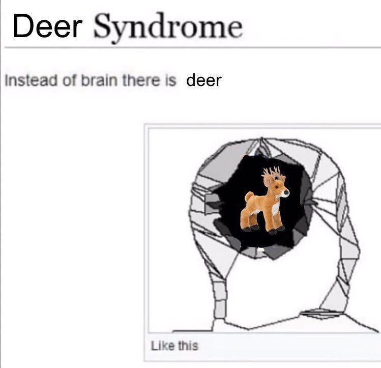 Deer in Places they Shouldn't Be tweet media