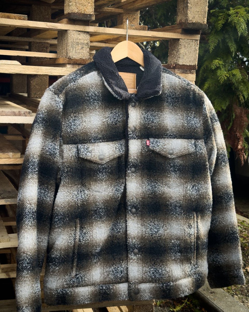 MAINLINE tweet media