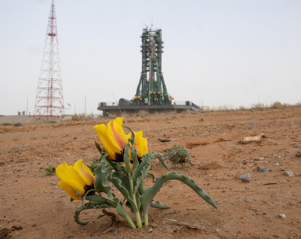 Association of Space Explorers tweet media