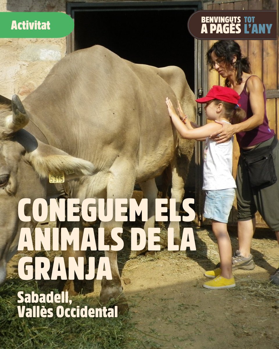 Benvinguts a Pagès tweet media