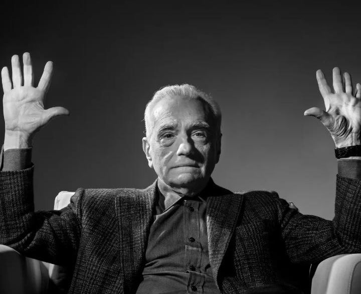 baboon10 tweet media