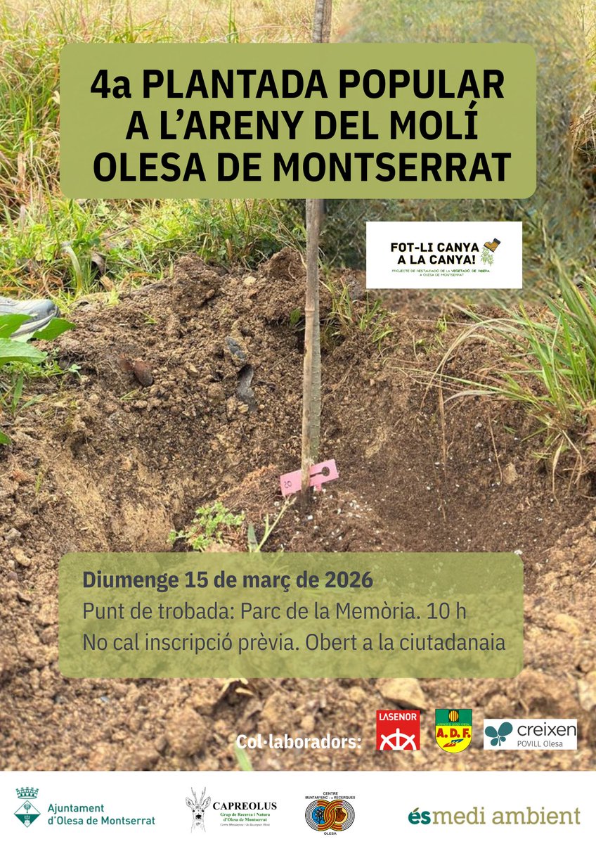 🔴 PLANTADA D'ARBRES 

El grup <a href="/capreolus_grnom/">Capreolus GRNOM</a>  i l'Ajuntament d'#Olesa organitzen la 4a Plantada Popular a l'Areny del Molí el diumenge 15 de març. Una activitat gratuïta, oberta a tota la ciutadania i per a totes les edats.

📍Punt de trobada: Parc de la Memòria 10 h.