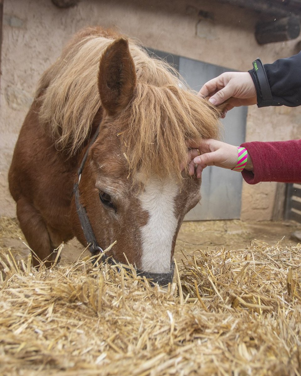 Benvinguts a Pagès tweet media