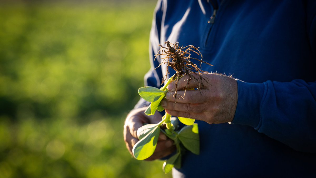 Riverine Plains tweet media