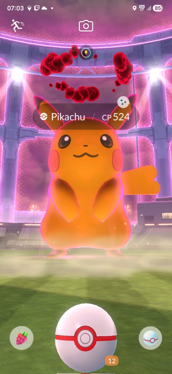 Nino Popovich tweet media