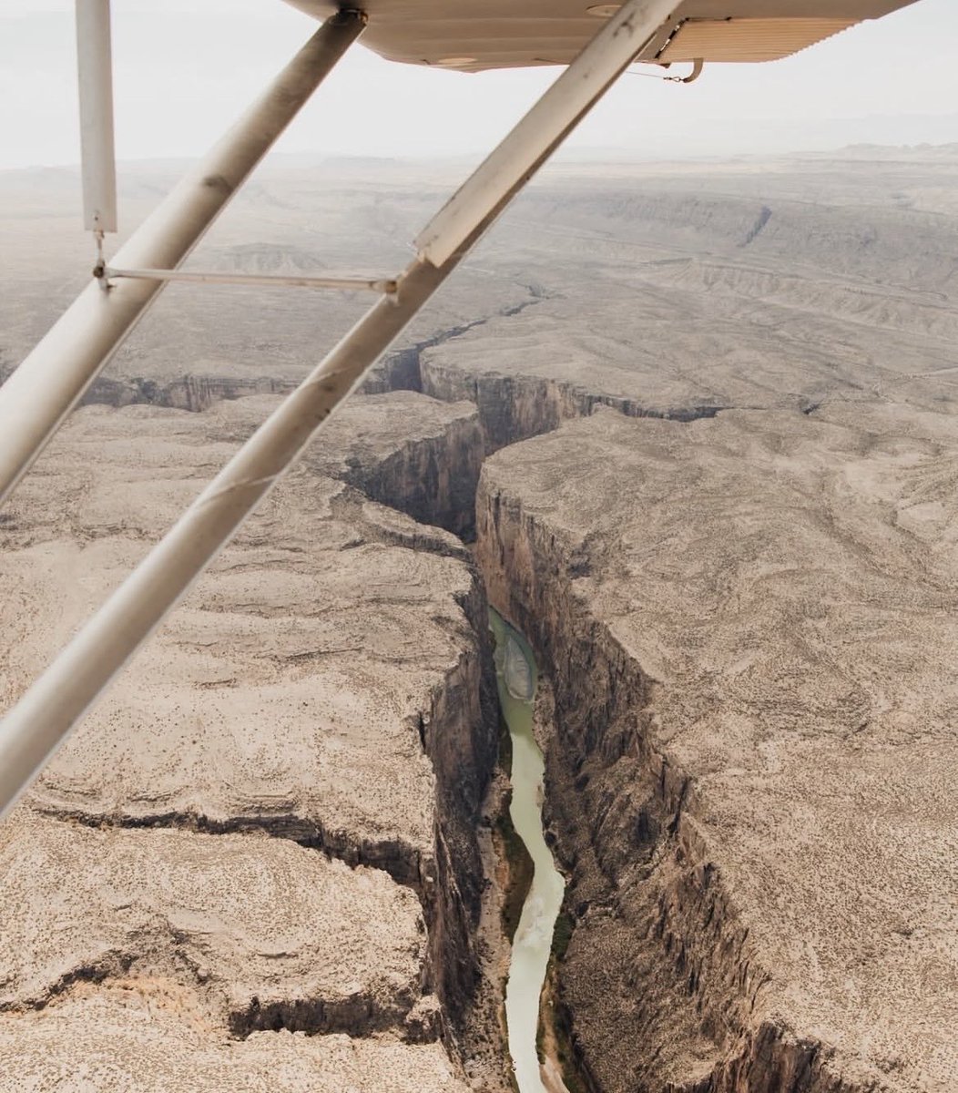 Laiken Jordahl tweet media
