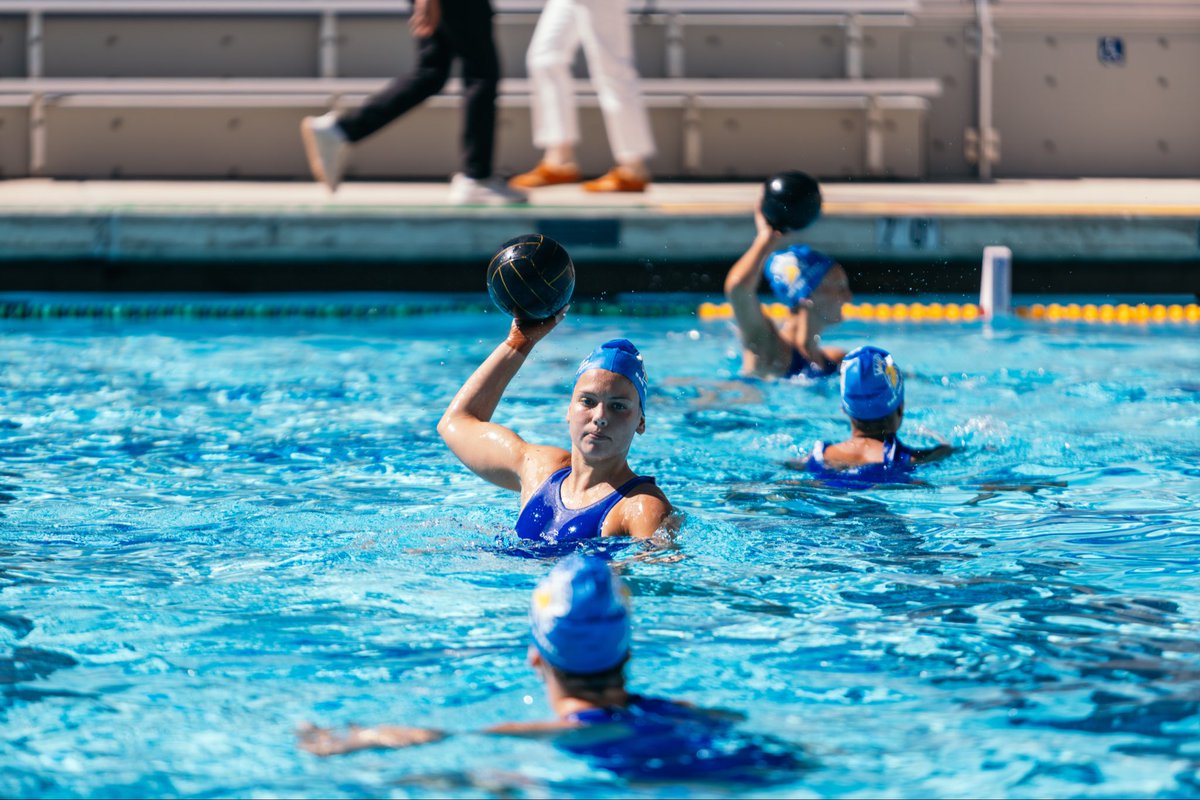 San Jose State Women's Water Polo tweet media