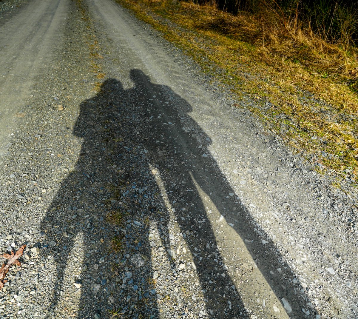 KopfYvonne's tweet image. Mit dir ist da immer mehr Licht als Schatten.

#Liebe #Paar #LoveIsInTheAir #Dankbarkeit #BeKindAlways #LiebeIstAlles #SchönesGegenDoofes #FloodTheZoneMitSchoenem