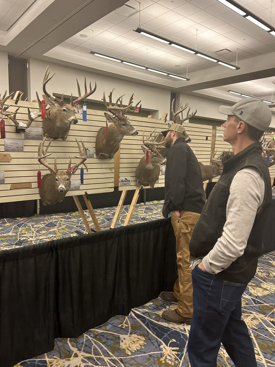 Adam Wren tweet media