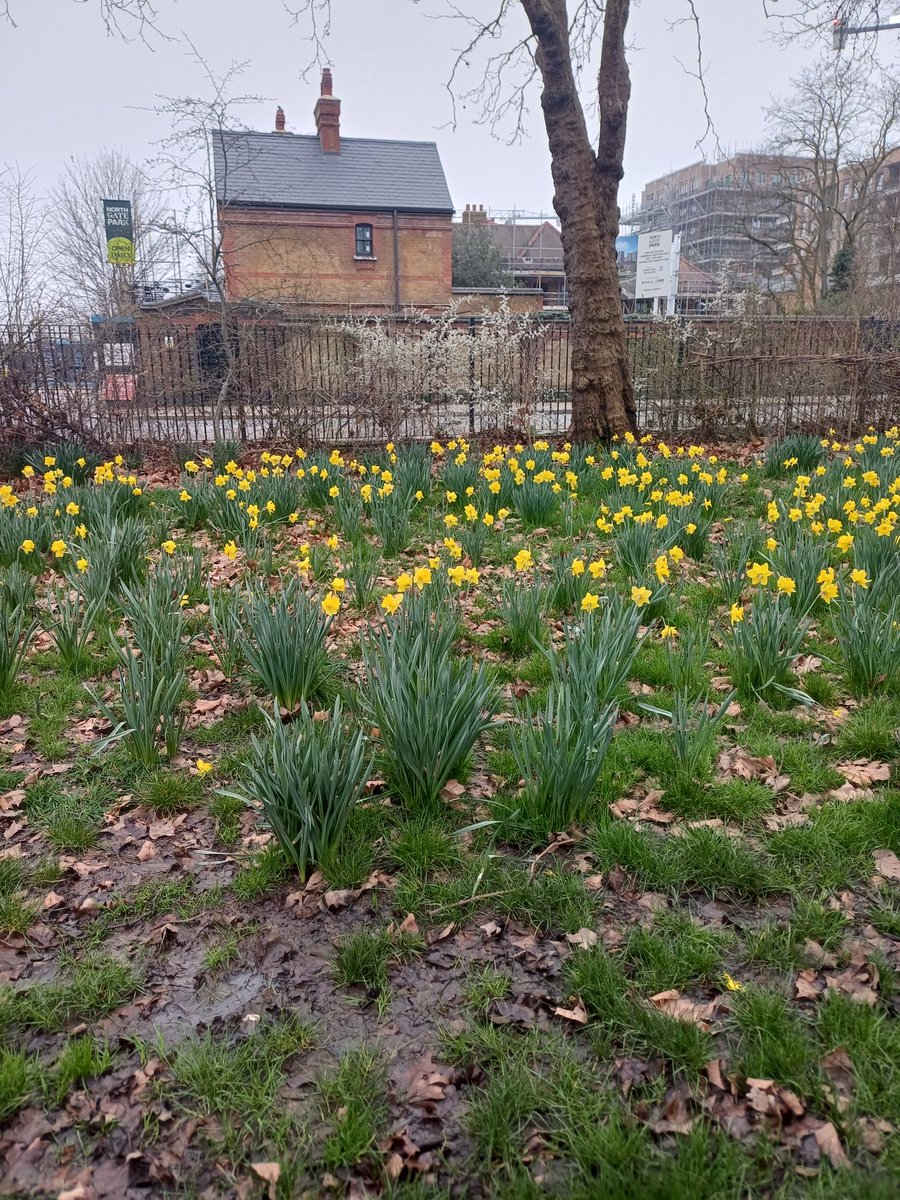 Vanessa Heron-Hua tweet media