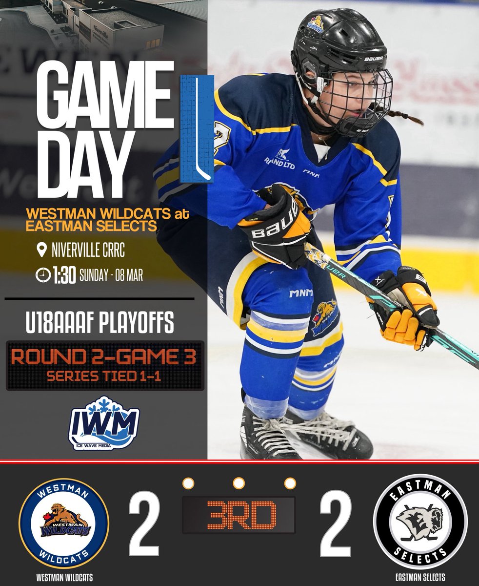 Ice Wave Media 🥅 tweet media