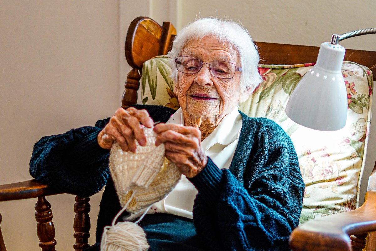 Meals on Wheels tweet media