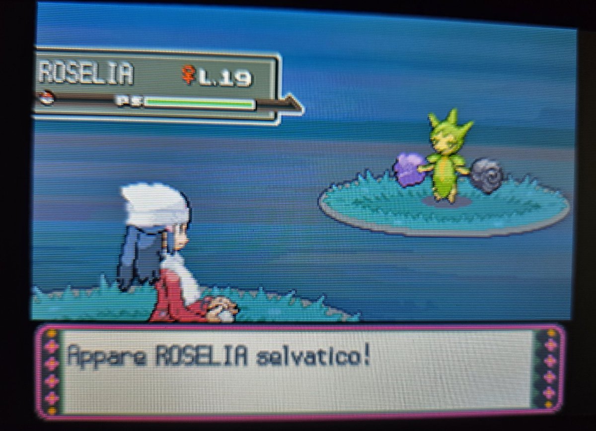 mar🌙🍉 tweet media