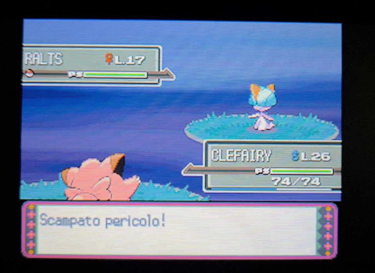 mar🌙🍉 tweet media