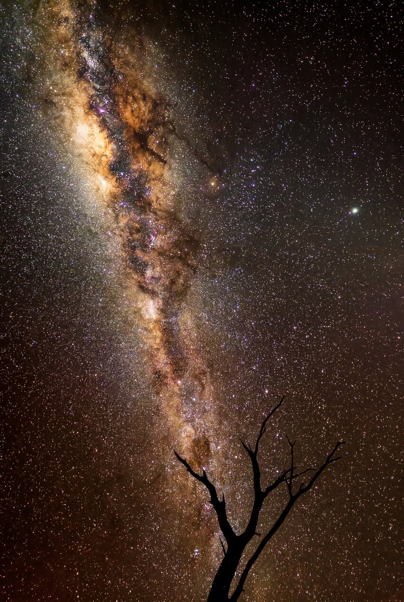 Curiosity tweet media