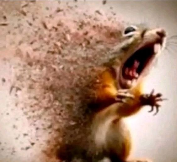 pachimercy tweet media