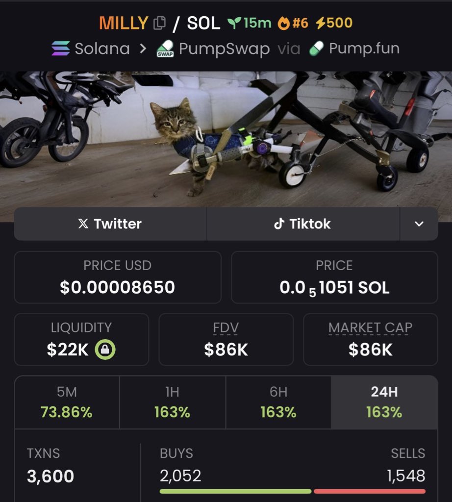 Investor great cook tweet media