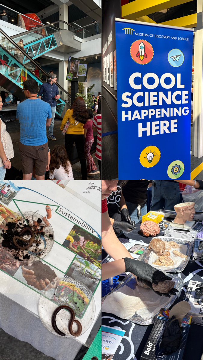 Kimberly Holley, Ed.S. tweet media