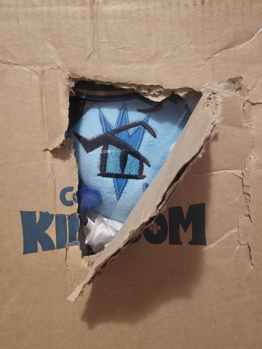 haseukaa's tweet photo. Im cryinf why did he show up in the mail like this 😭😭😭 https://t.co/ibfzFSLn8X