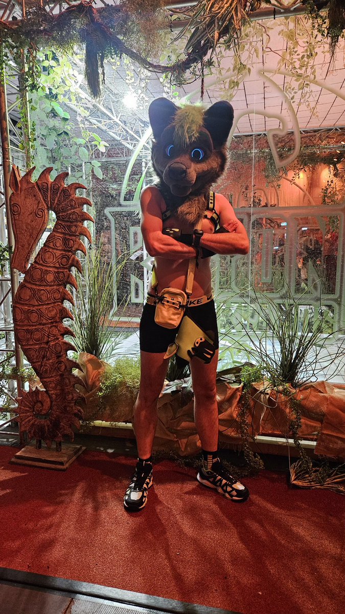 Ruswarp 🔜 Maspups 🇪🇸 tweet media