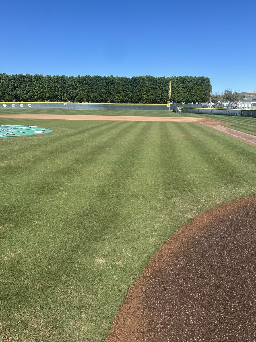 matt lucas tweet media