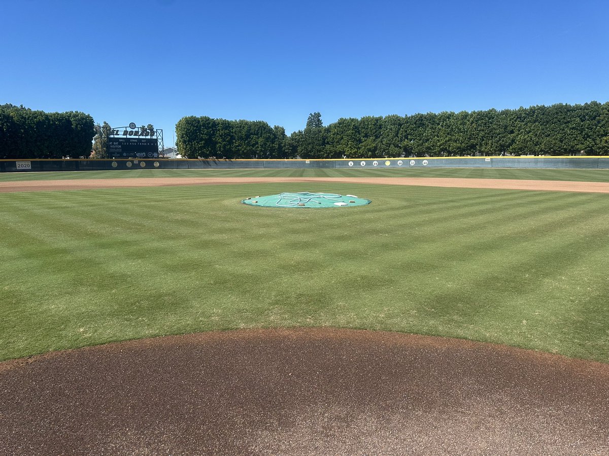 matt lucas tweet media