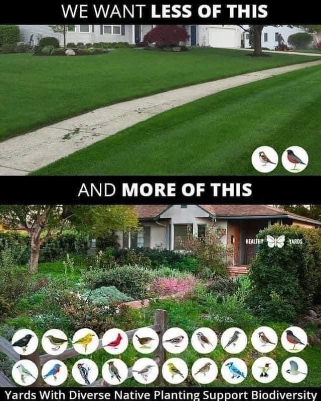 Mountain Cabins (@cabinsmountain) on Twitter photo 