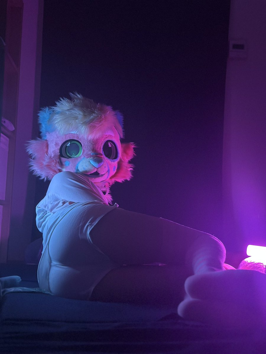 ✿ ᗷloomy ✿ NB doggo 🔜 EF tweet media