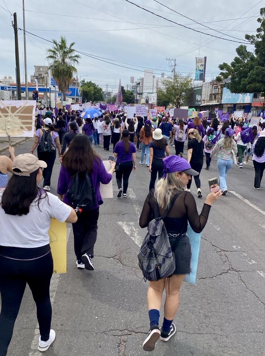 Instituto de Protección Sinaloa tweet media