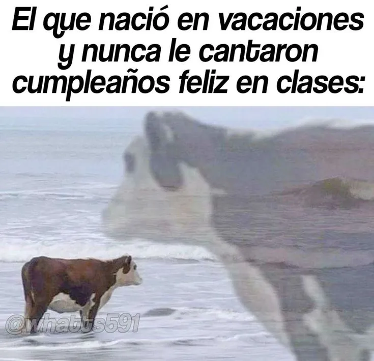 Rincón Curioso tweet media