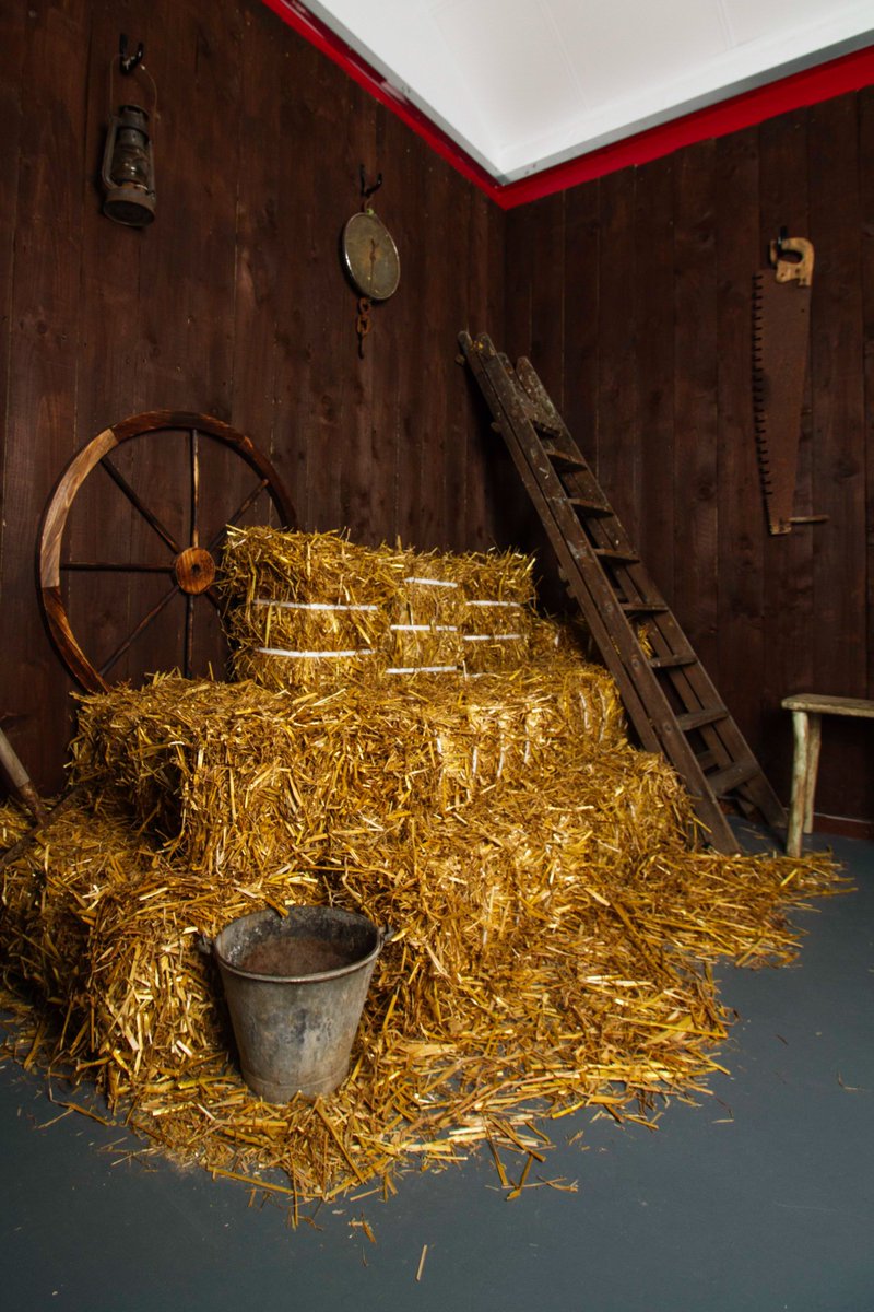 ARB Art and Photography tweet media