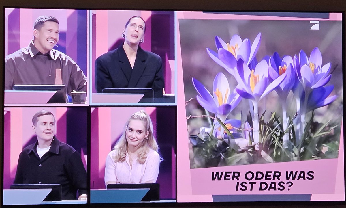 Grad auf <a href="/ProSieben/">ProSieben</a>: <a href="/GWaldmensch/">Georg Waldmensch 🌳</a> Die Frage war:"Was ist das?" Antwort: "Tulpen". Und zur Aufklärung wurde noch "Krokusse" auch gesagt!