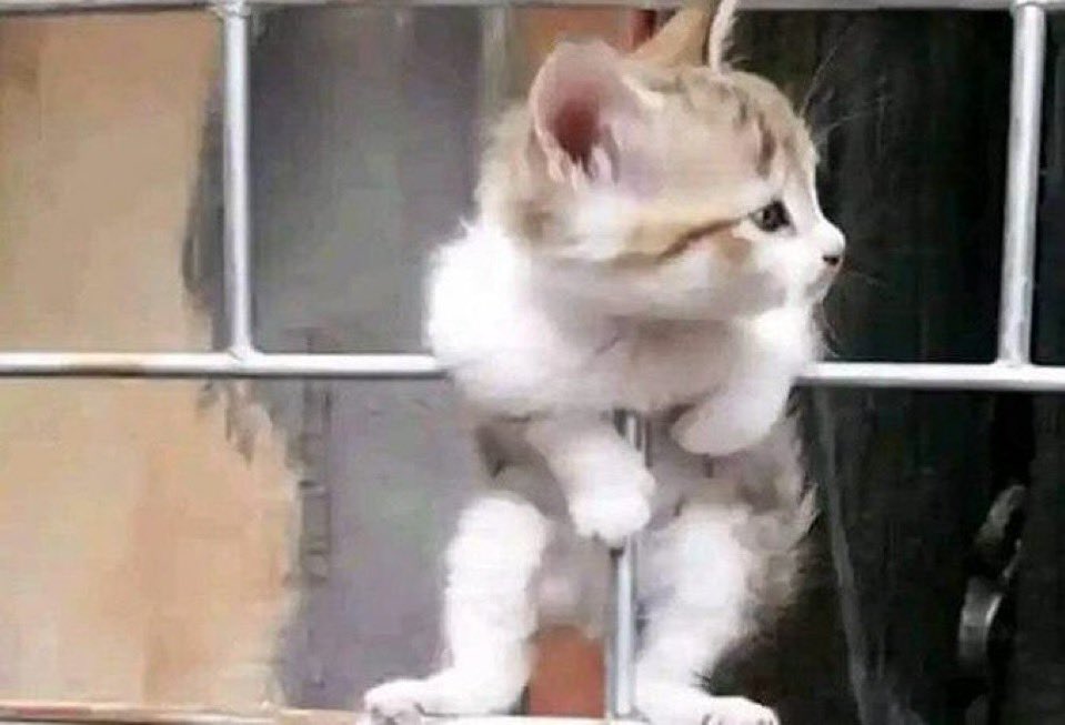 Are you still here or you’re already asleep?
