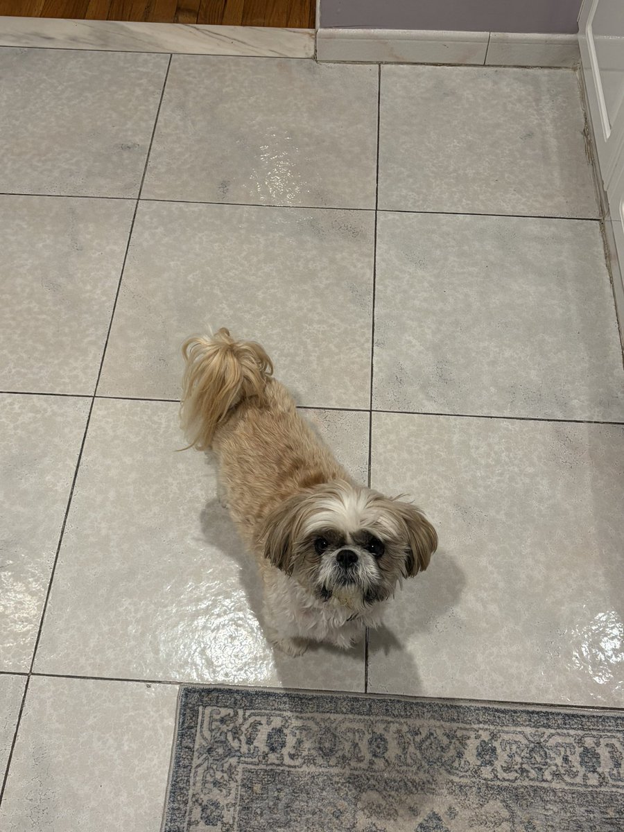 🍜 múdďÿ 🍜 tweet media