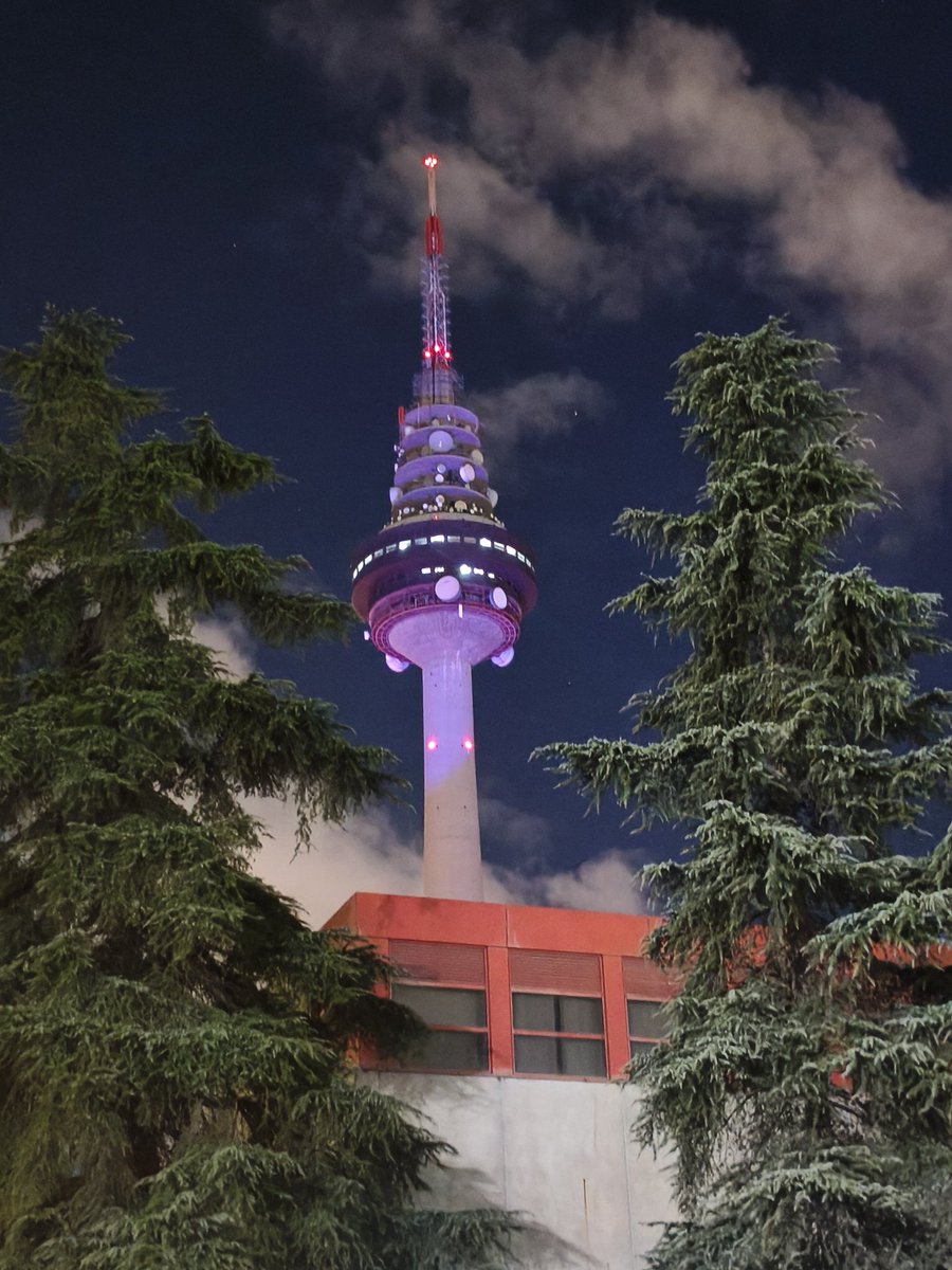 Érika Reija tweet media