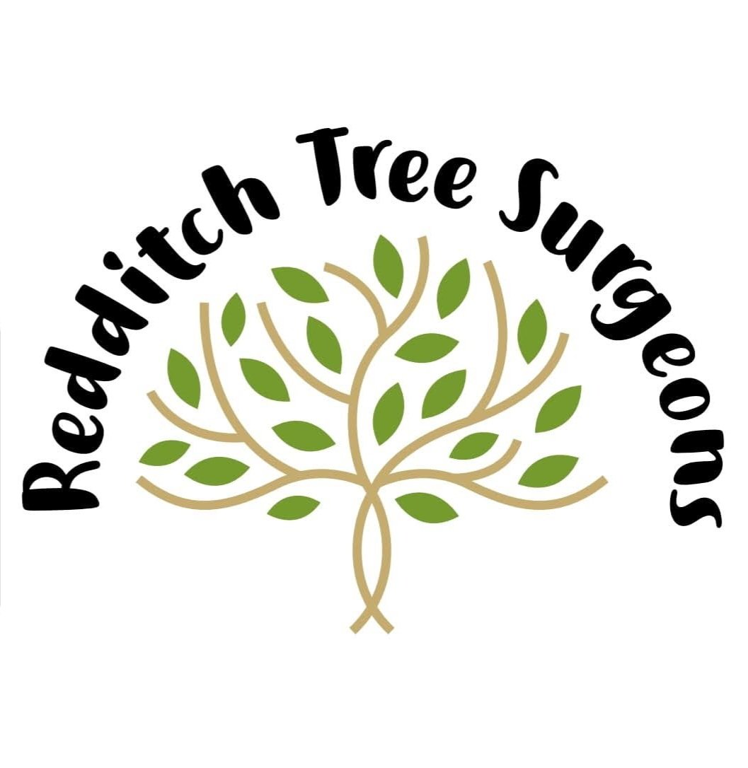 Rob Bruce tweet media