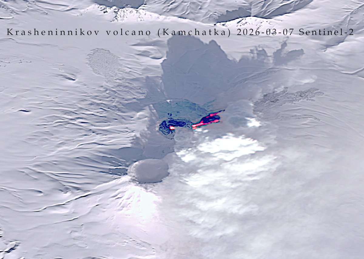 Martin Kelko tweet media