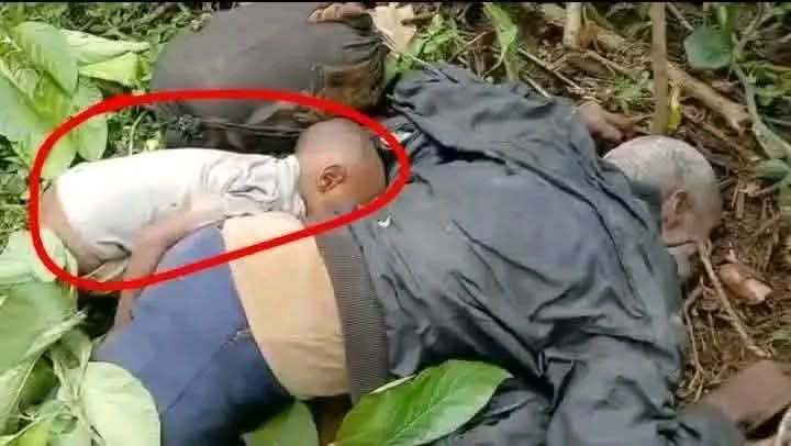 neby_G's tweet photo. During the holy month of Ramadan, @AbiyAhmedAli and @ShimelisAbdisa are wiping out entire generations of Amhara Muslims in Wollega, Oromia Region. Pictured here are an Amhara child, mother, and grandfather hacked to death by Oromia Special Forces just this week. https://t.co/KVxXfkQRbP