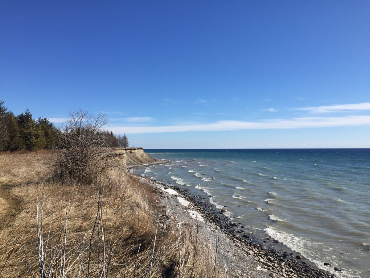 Michael Jacobs tweet media