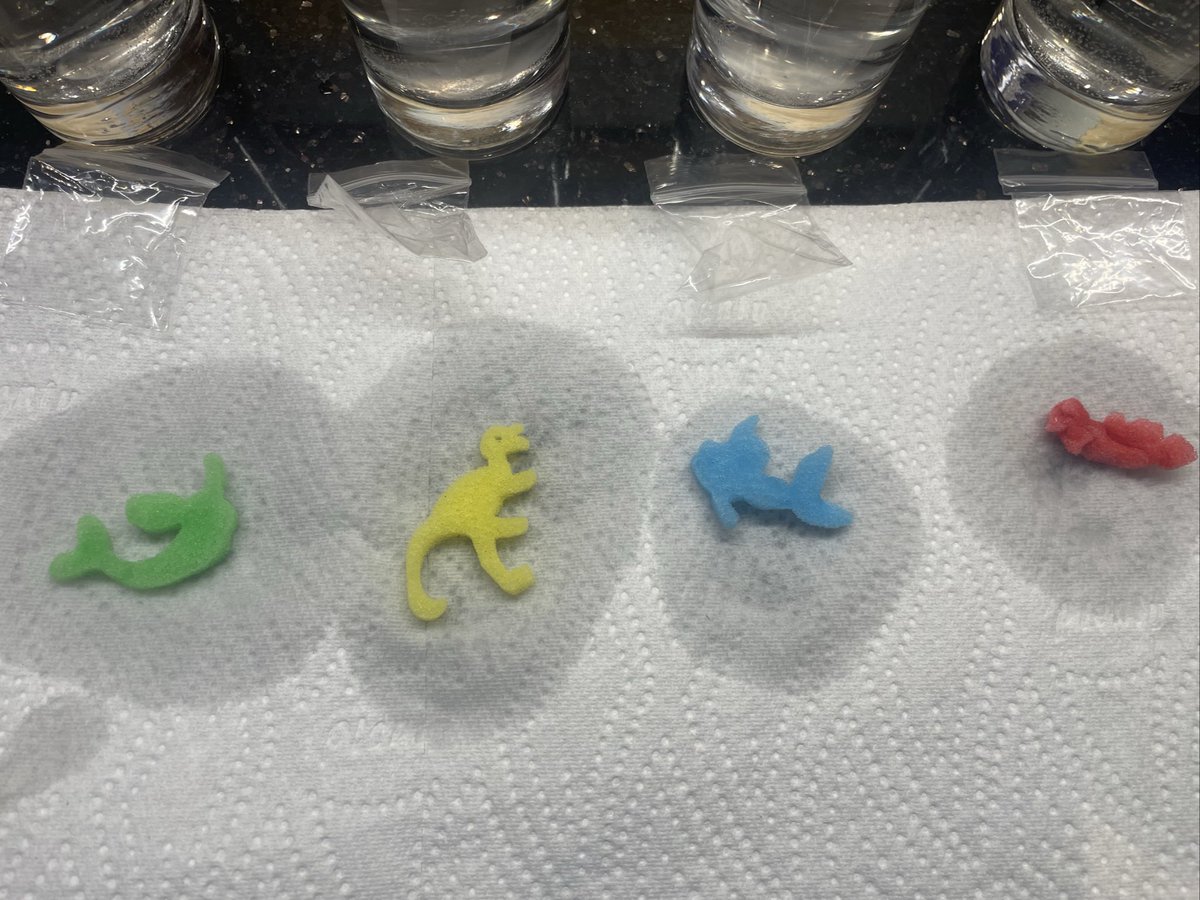 #199 Days Later tweet media