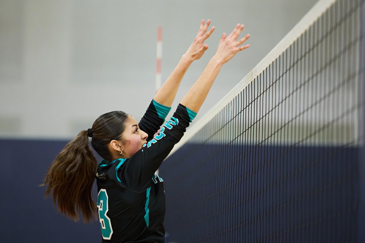 Palo Alto College tweet media