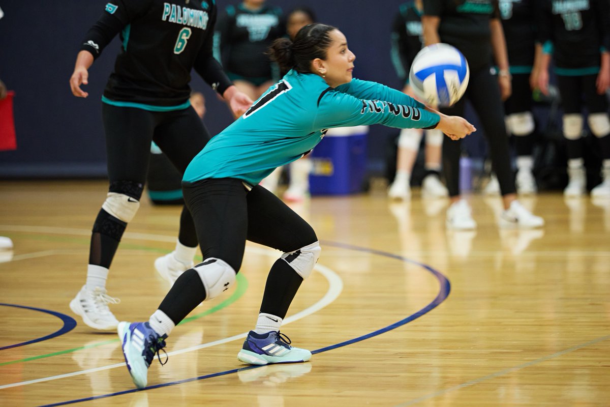 Palo Alto College tweet media