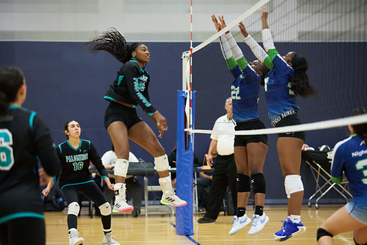 Palo Alto College tweet media