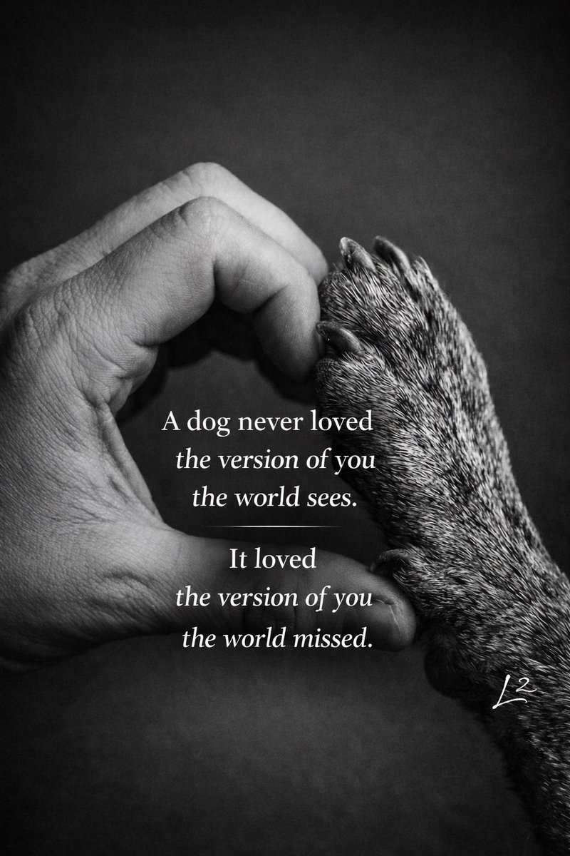 TheLuckyLineX's tweet photo. A dog never loved the version of you the world sees. It loved the version of you the world missed.

🐾 https://t.co/amTVKJqVrN
