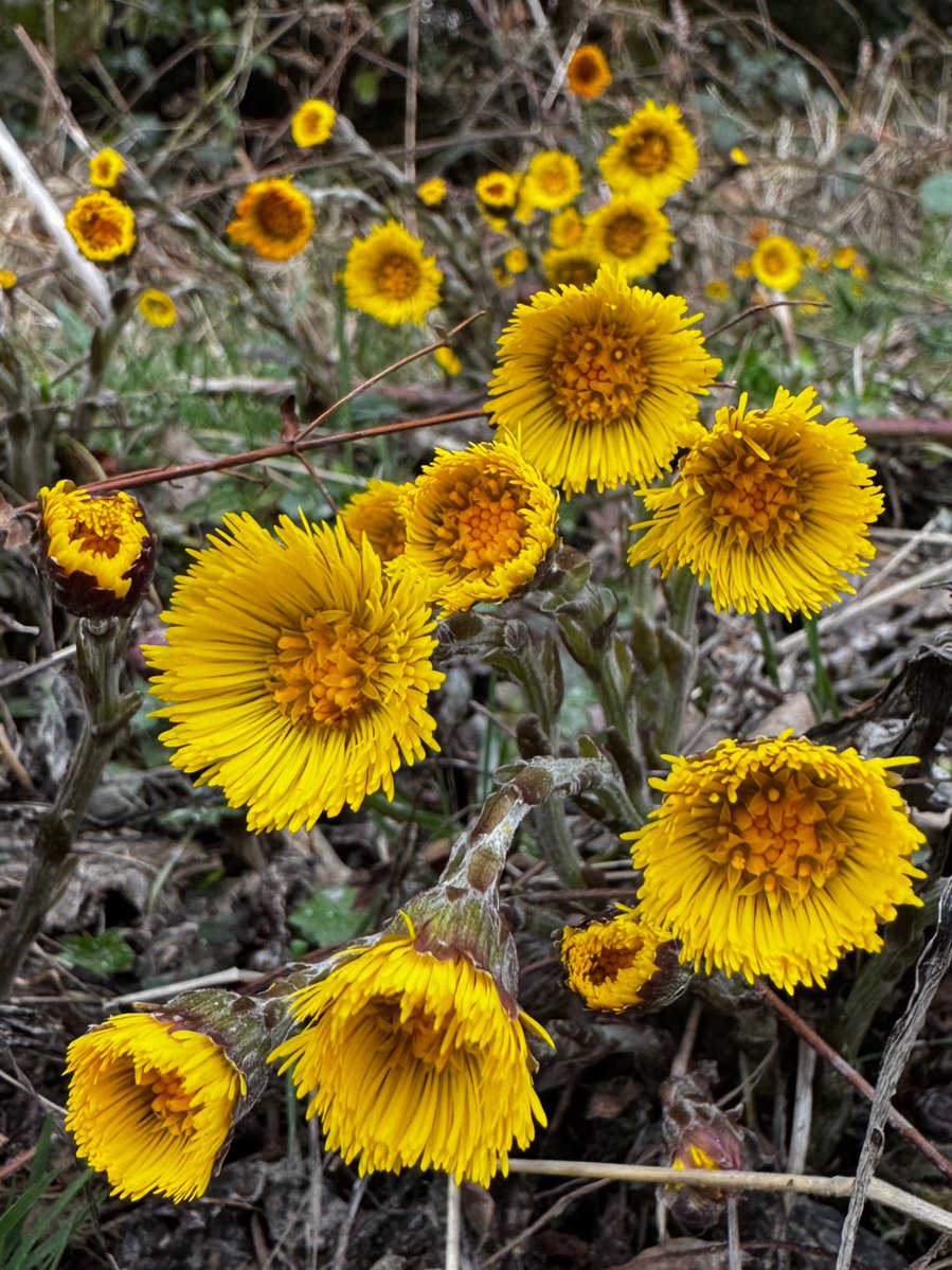 John Walker tweet media