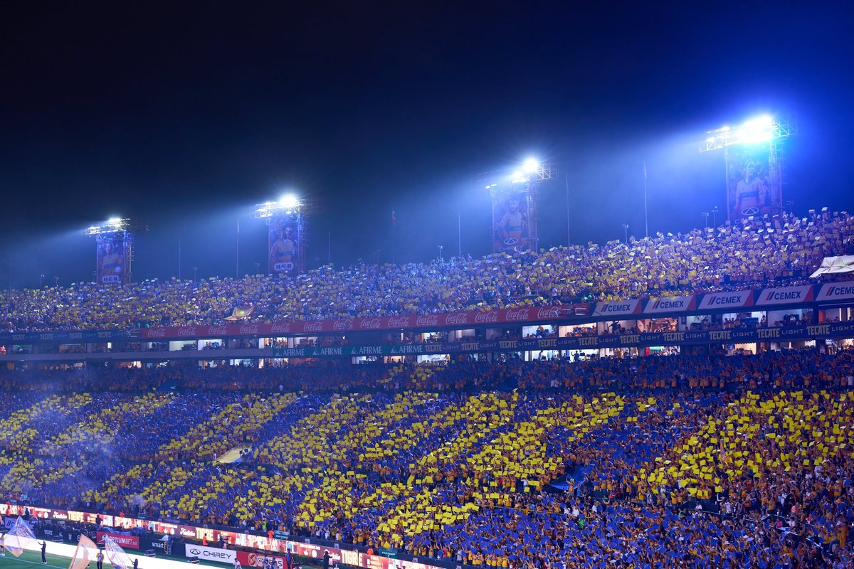 Club Tigres 🐯 tweet media
